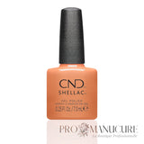 cnd-shellac-DAYDREAMING