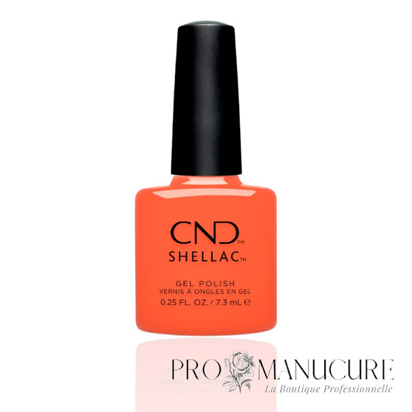 cnd-shellac-IG-NIGHT-ED